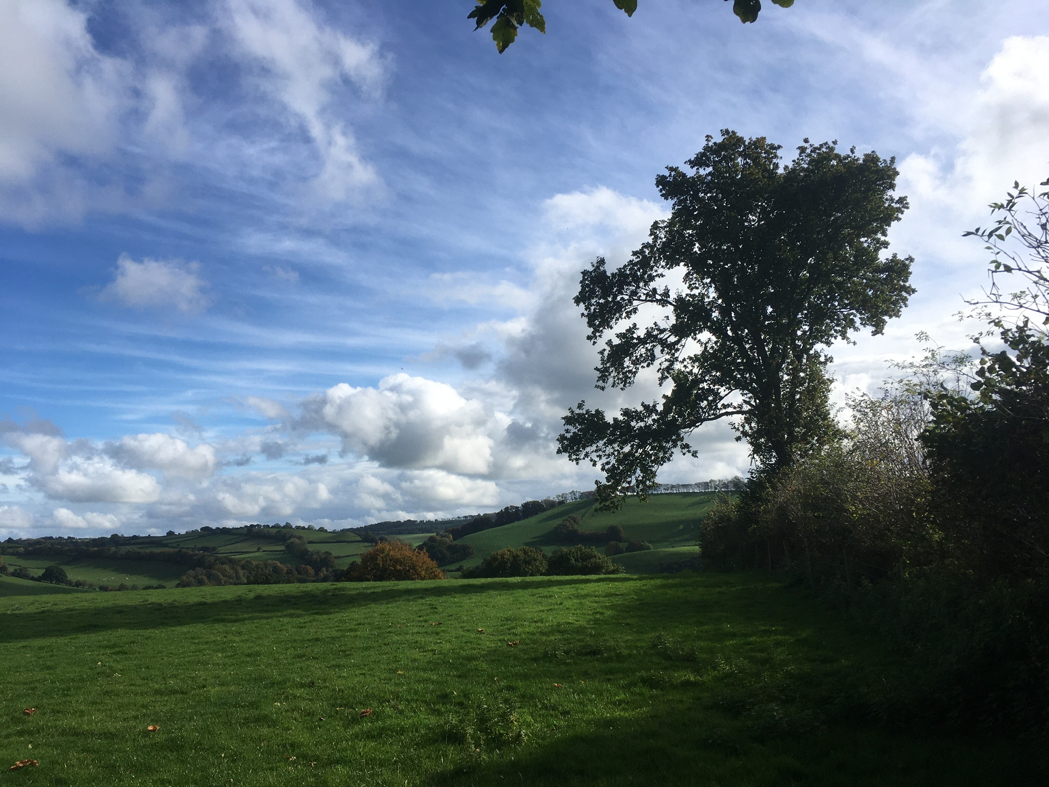 Bampton LARC